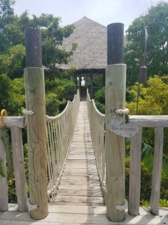 20180917_105005.jpg