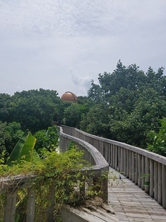20180917_105215.jpg