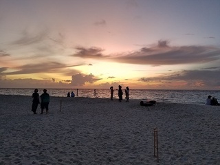 20180918_181946.jpg