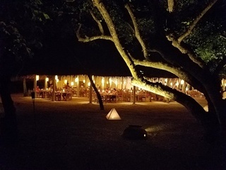 20180918_191632.jpg