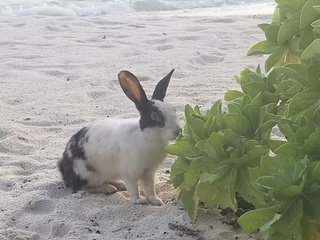 20180919_061331.jpg