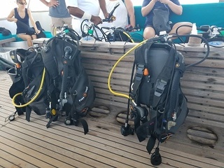 20180919_083138.jpg