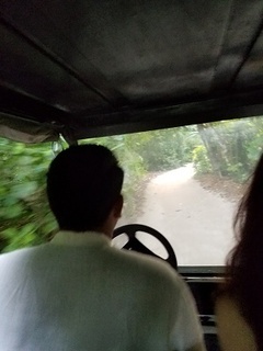 20180919_174311.jpg