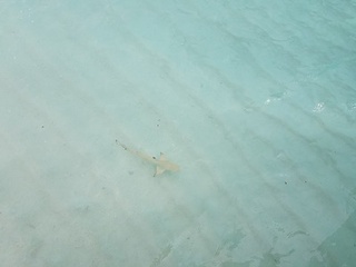 20180921_095143.jpg