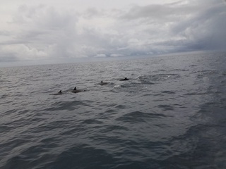 20180921_174214.jpg