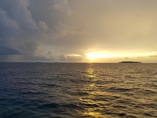 20180921_175120.jpg