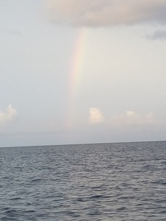20180921_175238.jpg