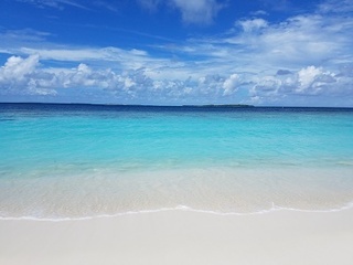 20180922_134157.jpg