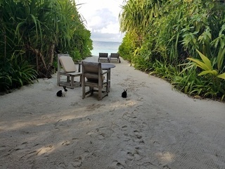 20180922_161152.jpg