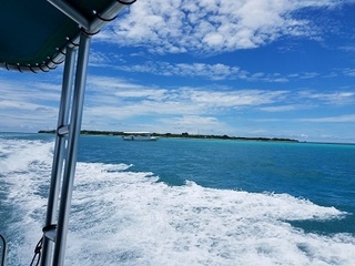 20180923_113941.jpg