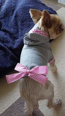 s-犬服 (1).jpg