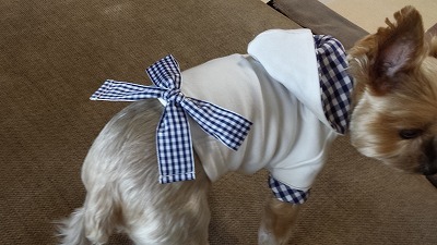 s-犬服 (3).jpg